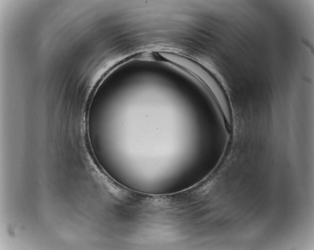 X0000100341040200806051533