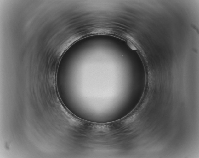 X0000100341041200806051533