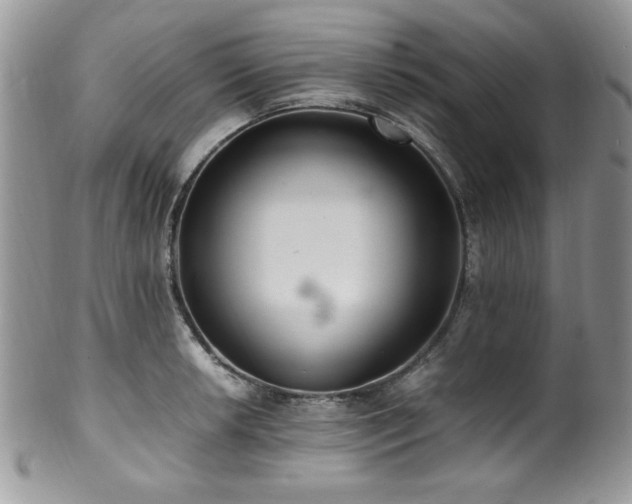 X0000100341042200806051533