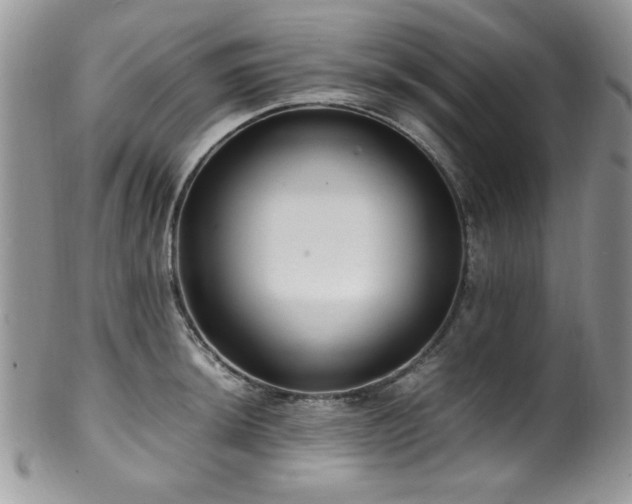 X0000100341044200806051533