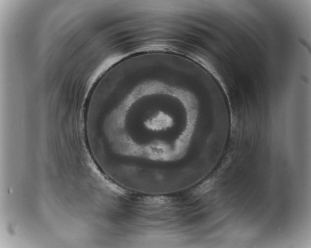 X0000100341045200806051533