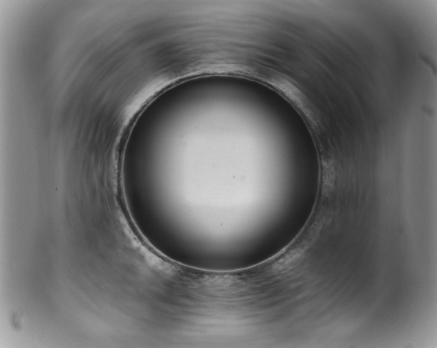 X0000100341046200806051533