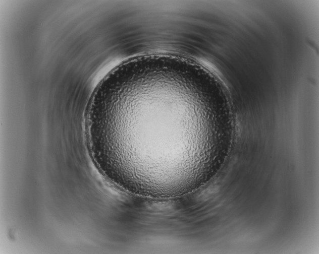 X0000100341047200806051533