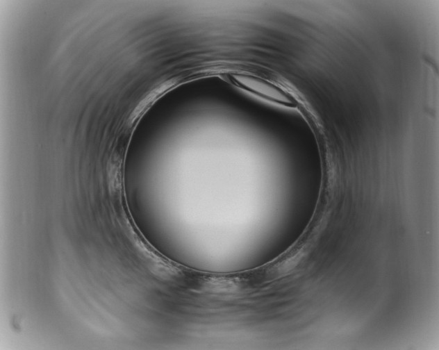 X0000100341049200806051533