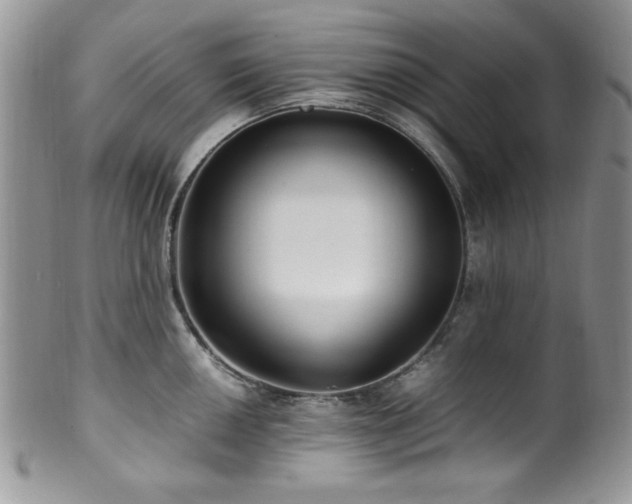 X0000100341050200806051533