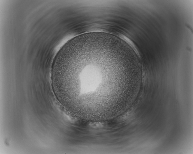 X0000100341051200806051533