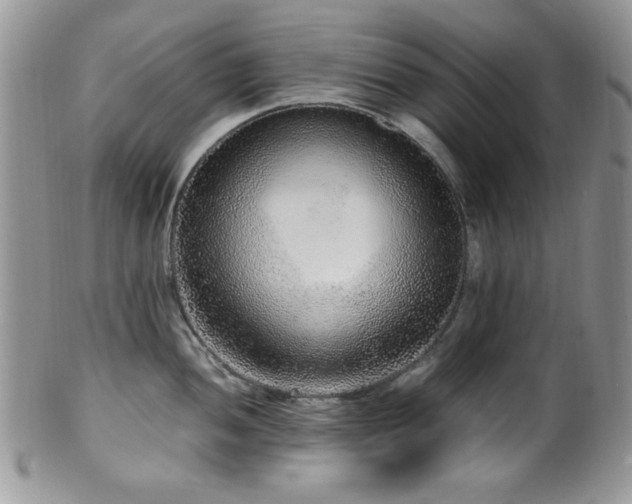 X0000100341052200806051533