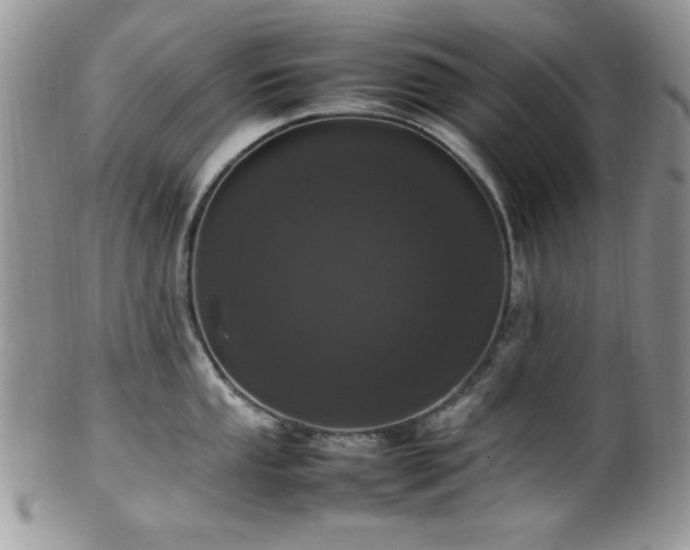 X0000100341053200806051533