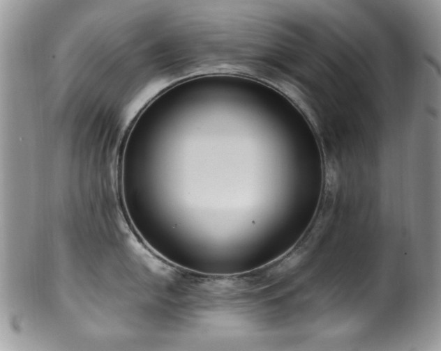 X0000100341054200806051533