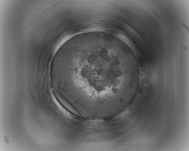 X0000100341055200806051533