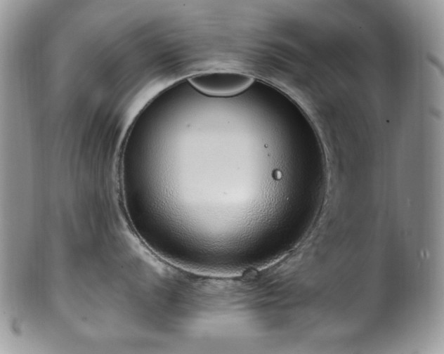 X0000100341056200806051533