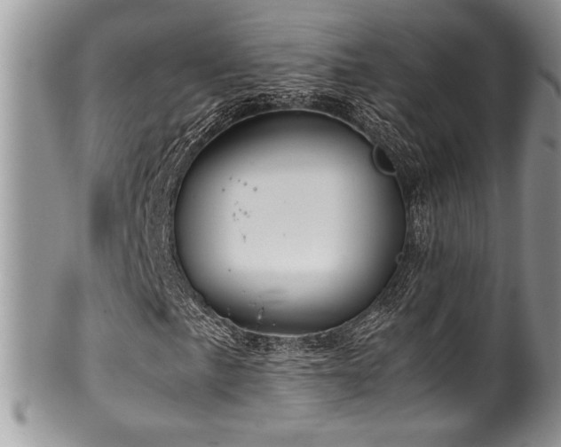 X0000100341057200806051533