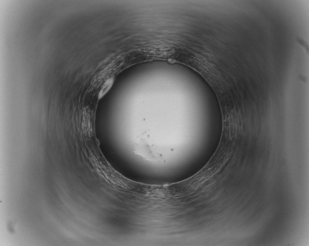 X0000100341058200806051533