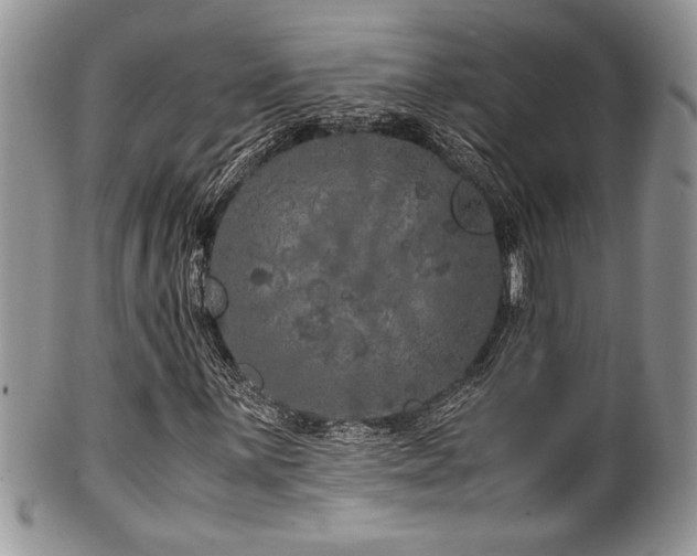 X0000100341059200806051533
