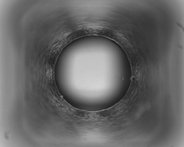 X0000100341061200806051533