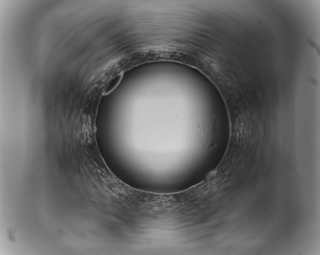 X0000100341062200806051533