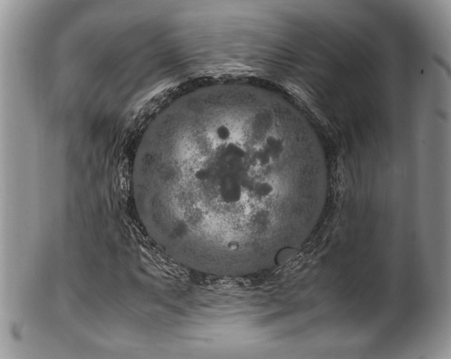 X0000100341063200806051533