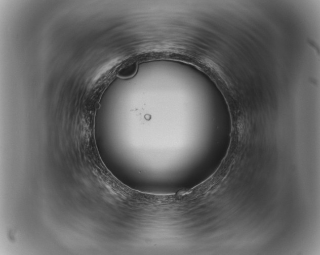 X0000100341064200806051533