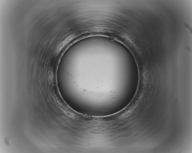 X0000100341065200806051533