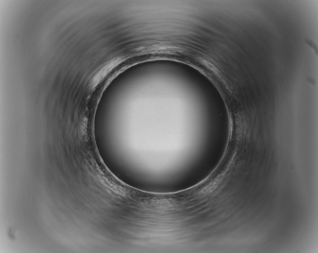 X0000100341066200806051533
