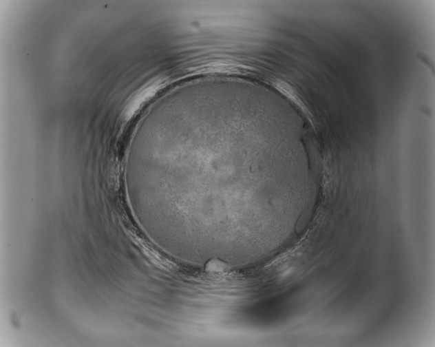 X0000100341067200806051533
