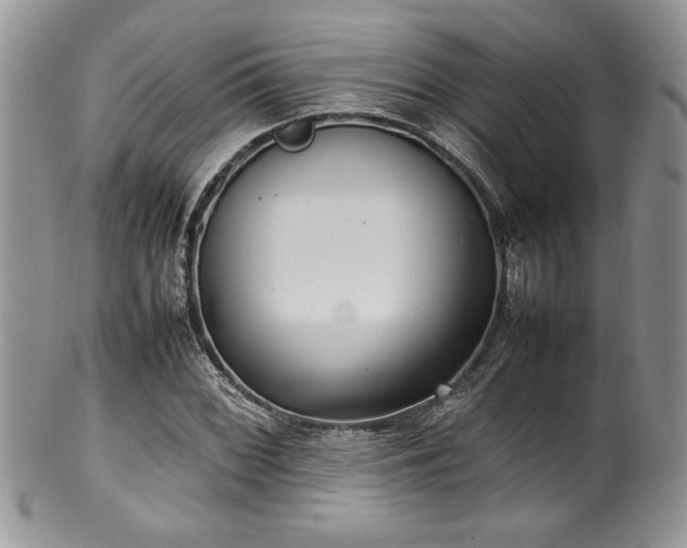 X0000100341068200806051533
