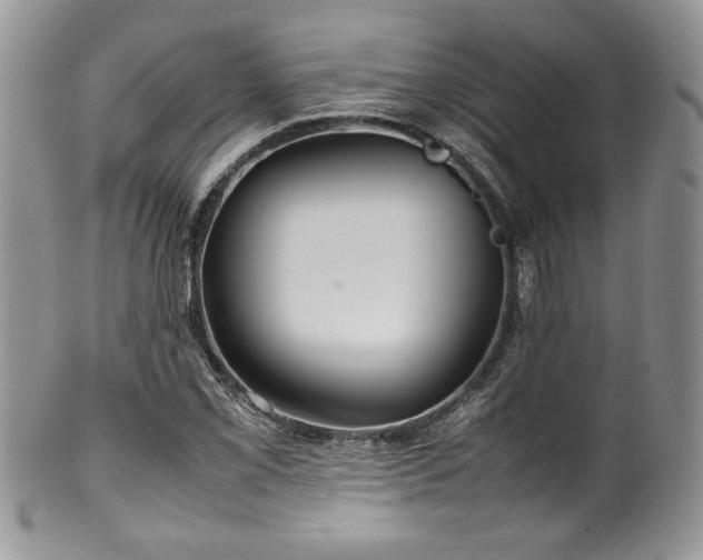 X0000100341069200806051533