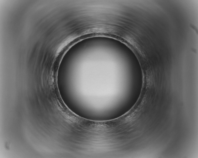 X0000100341070200806051533