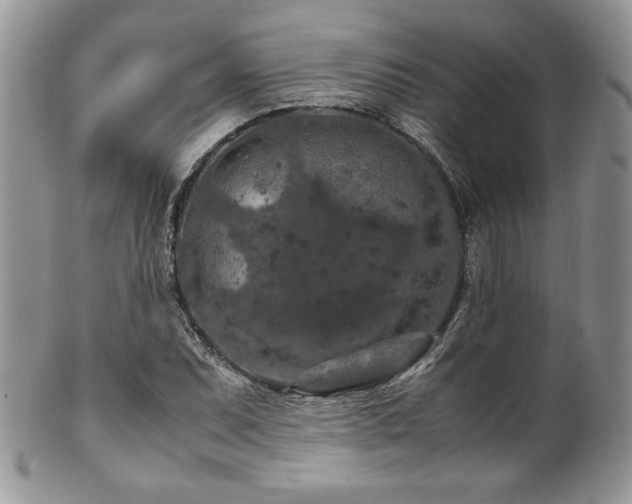 X0000100341071200806051533