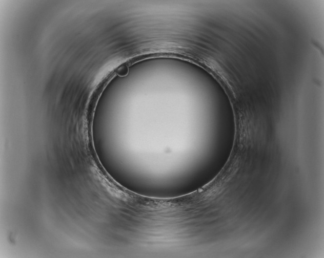 X0000100341072200806051532