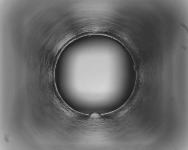 X0000100341073200806051532