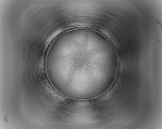 X0000100341074200806051532