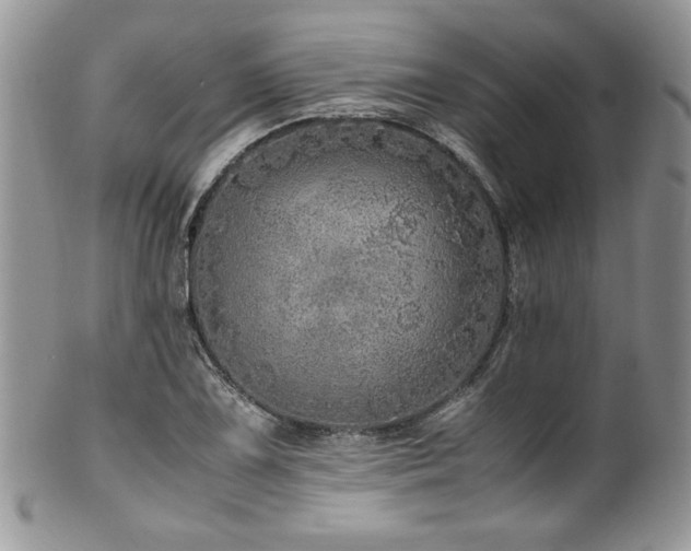 X0000100341075200806051532
