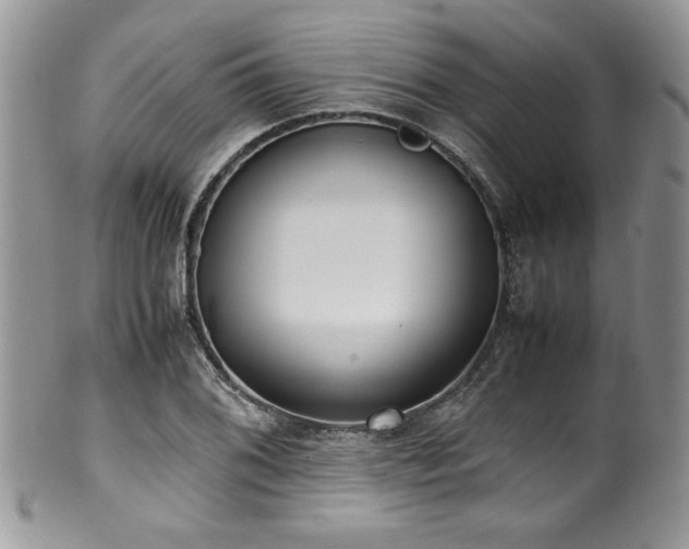 X0000100341076200806051532
