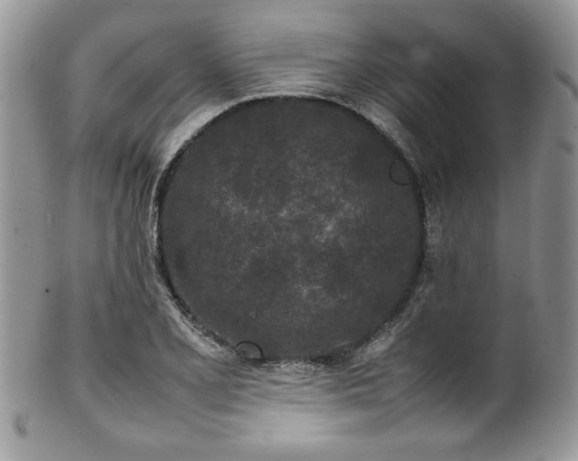 X0000100341077200806051532