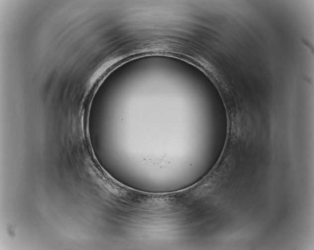 X0000100341078200806051532