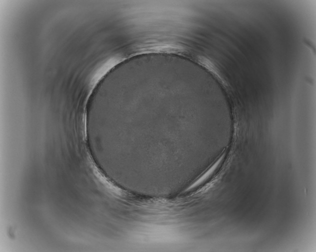 X0000100341079200806051532