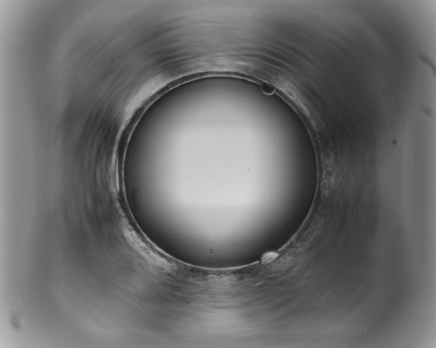 X0000100341080200806051532