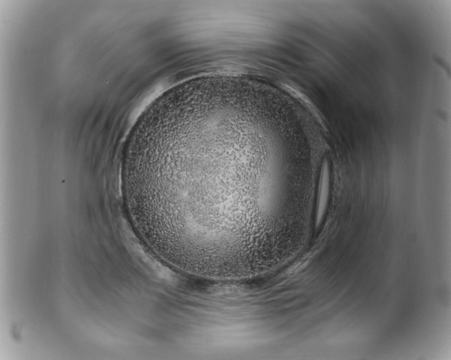 X0000100341083200806051532