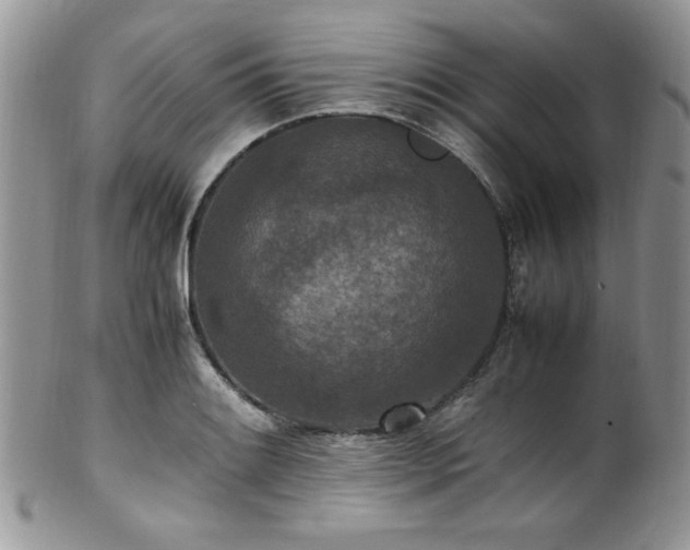 X0000100341084200806051532