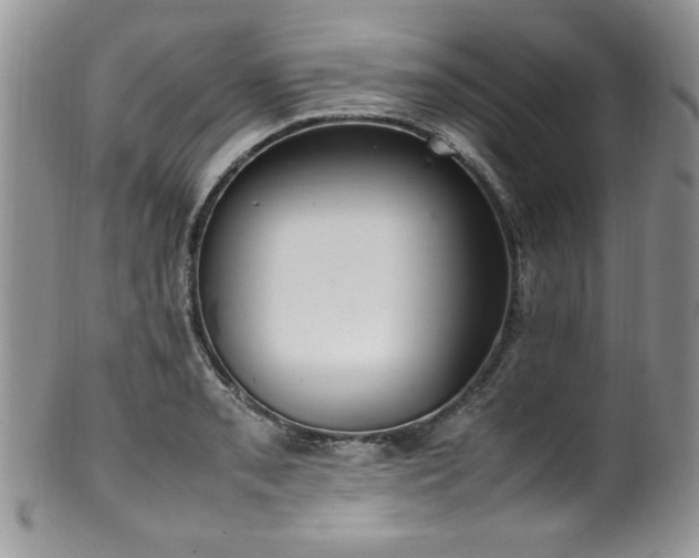 X0000100341085200806051532