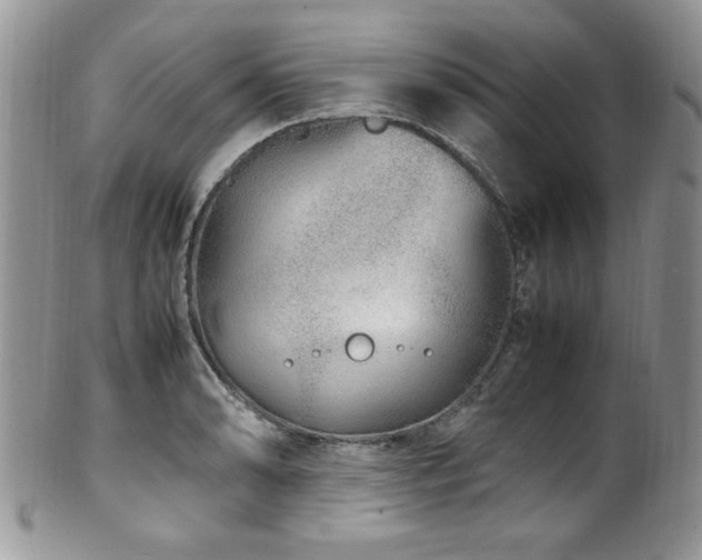 X0000100341086200806051532