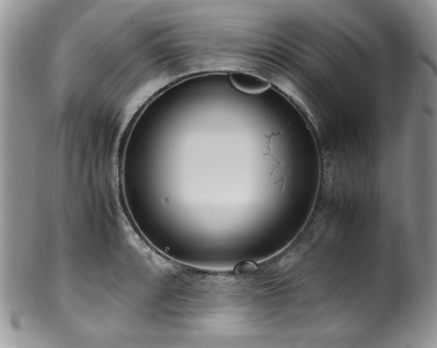 X0000100341088200806051532