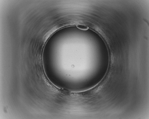 X0000100341089200806051532