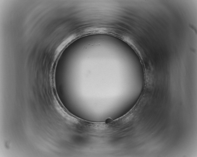 X0000100341090200806051532