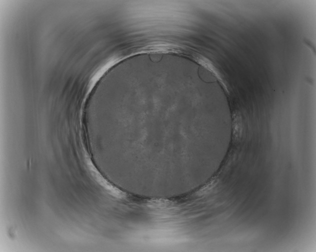 X0000100341091200806051532