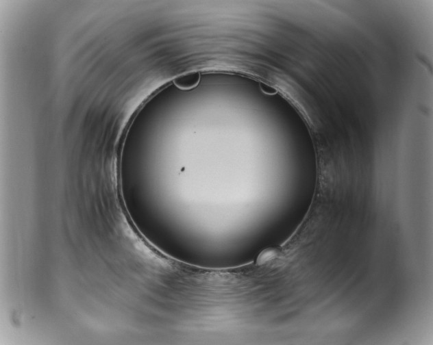 X0000100341092200806051532