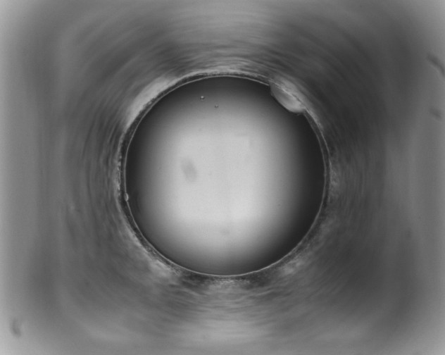 X0000100341093200806051532