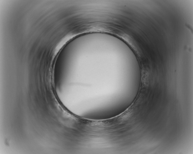 X0000100341094200806051532
