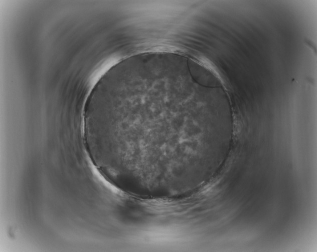 X0000100341095200806051532